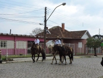 Cavalos 02