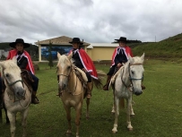 cavalo3