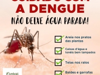 Dengue02