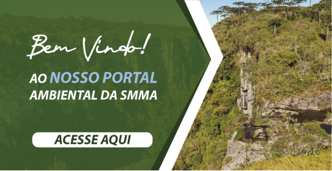 Meio Ambiente